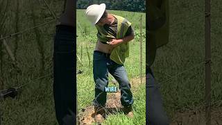 How Electric Fences Work⚡️