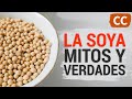 Mitos y Verdades Acerca de la Soya | Ciencia de la Comida