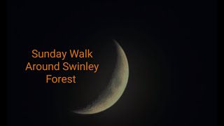 Sunday Walk Around Swinley Forest