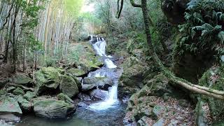 【滝の音】山口県周南市大道理・魚切の滝