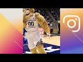 cosmo the cougar dunks from 3 point line byu break performance at basketball game