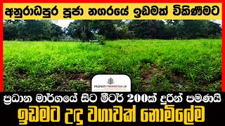 ලක්ෂ 35 || BTM676691: Land for Sale in Anuradhapura