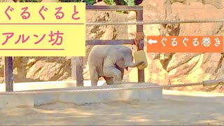 アルン ぐるぐる   その時 母ウタイは？