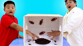 Alex Aprender sobre Insectos con el Desafío de la Caja Misteriosa | Video Educativo para Niños