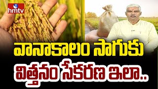 వానాకాలం సాగుకు విత్తనం సేకరణ ఇలా.. | hmtv Agri