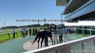 シャドウアイルにグイグイ来られてるように見える岩田望来騎手 2022.7.31新潟競馬7レース