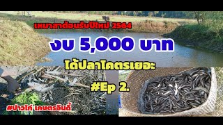 #เหมาสา #สูบปลา #ต้อนรับปีใหม่2564 งบ 5,000 บาท/#บ่าวไก่ เกษตรอินดี้