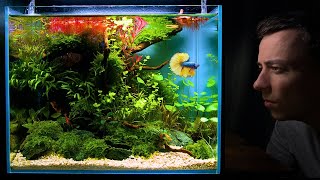 Making a Betta Aquarium From ''Leftovers'' (Aquascape Tutorial)