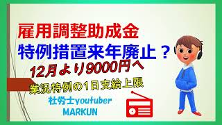 雇用調整助成金特例措置(新型コロナ）廃止？最新情報  12月より業況特例日額上限9,000円に引下げ、特例措置来年1月まで延長、2月より廃止情報がでています！お給料の高い方の休業実質減額です。