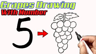 How to draw a grapes with number 5 l Grapes drawing easy step by step | Learn to draw step by step