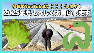 2025年のYouTube配信について