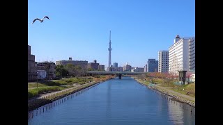 『「ふれあい橋」と「東京スカイツリー」』