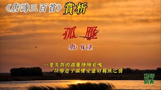 【古詩詞鑒賞】《唐詩三百首》| 崔塗 | 孤雁 | Appreciation and Analysis of Chinese Poetry