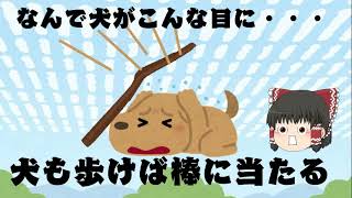 何で犬なの・・・？犬も歩けば棒に当たるをゆっくり解説！【ゆっくり解説】【ことわざ】