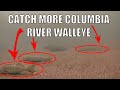 Catch More Columbia River Walleye