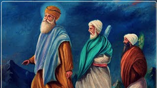 ਗੁਰੂ ਨਾਨਕ ਦੇਵ ਜੀ ਤੇ  ਮਟਨ ਦਾ ਪੰਡਤ ਬ੍ਰਹਮ ਦਾਸ||guru nanak dev te bahram das||katha vichaar||khalsakhas|