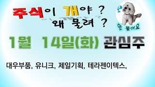 [웃지] 1월14일 관심주 - 대우부품, 유니크, 제일기획, 테라젠이텍스