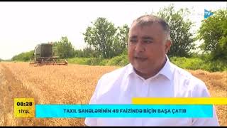 2022-ci ildə taxıl sahələrinin biçin prosesi (01.07.2022)