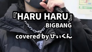 『HARU HARU』BIGBANG covered by ひぃくん　2023.3.26 路上ライブ 天王寺