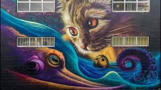 Octo-Puss! Graffiato 2018 Mural