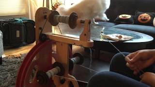 ASMR spinning wheel - quiet whirring - no talking