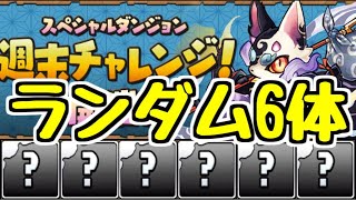 【生放送】ランダム6体編成で異形の存在20分週末チャレンジ！【パズドラ】