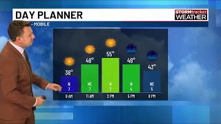 Cool and dry for now, but milder weather is likely for Christmas