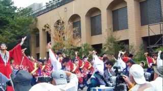 みちのくよさこい　2012　祭・WAIWAIよこはま（みちのくよさこい乱舞）