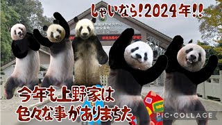 しゃいなら!2024年!!今年も上野家は色々な事がありまちた