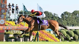 【2024年度JRA賞】最優秀3歳牝馬はチェルヴィニア　木村師は〝牝馬2枚看板〟での活躍誓う｜競馬ニュース｜競馬予想のウマニティ