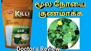 how to use thuthi leaf powder for piles in tamil, thuthi ilai uses, dosage,price துத்தி இலை மூல நோய்