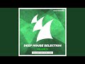 Brun (Matthias Meyer Remix)