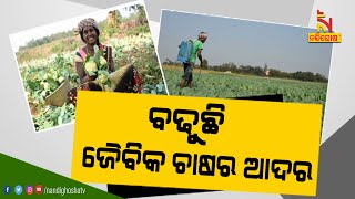 Sundargarh Tribal Farmers Successful in Organic Farming | NandighoshaTV