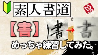 【書の書き方】日本習字小筆で書く段位と名前が苦手なのでみっちり練習してみた