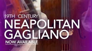 Kolstein Music 19th Century Neapolitan Gagliano with Roberto Vally