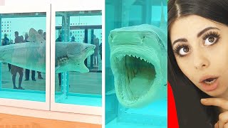 Ridiculous People Who Bought EXPENSIVE Things Online !