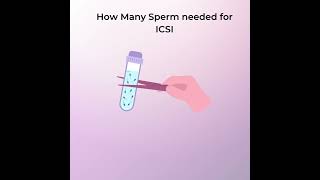 ICSI Sperm Injection