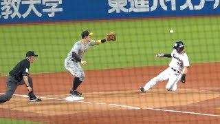 森下翔太 好返球もセーフに！東京ヤクルトスワローズvs阪神タイガース 2023/09/03