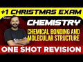 Plus One Christmas Exam Chemistry | Chemical Bonding and Molecular Structure | Eduport