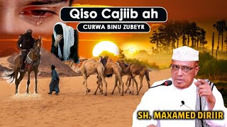 Qiso Cajiib Ah Oo Ku Cibro Qaadasho Mudan Qisadii CURWA BINU ZUBEYR | عروه بن زبير||Sh.Maxamed Dirir