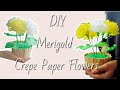 DIY Marigold Crepe Paper Flowers Ep 02