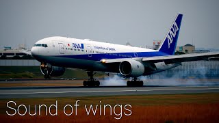 【4K】伊丹スカイパーク /伊丹空港 Japan/ド迫力撮影スポット/飛行機 離陸 着陸/Boeing777他/バイノーラル録音