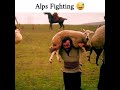 Aykiz and Alps Fighting 👊 Funny Race  Scene || Diriliş Ertuğrul Whatsapp Status