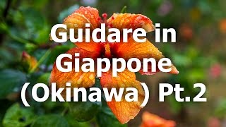 Guidare in Giappone, Okinawa Pt.2