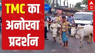 Petrol, Diesel price-hike: Unique protest in Kolkata as TMC workers use cows to pull cars