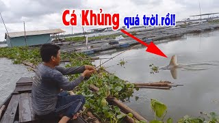 Run tay đụng hàng khủng sông Tiền - Cái kết không thể ngờ | Câu cá trên bè T341