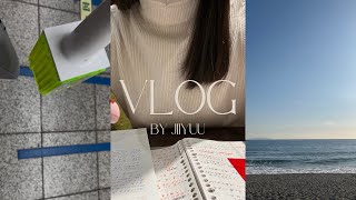 kor sub)大好きを詰め込んだ休日vlog|カフェ勉強|韓国語勉強|한국어 공부|한일자막|시즈니 브이로그