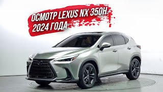 ОСМОТР LEXUS NX 350h из Южной Кореи🇰🇷