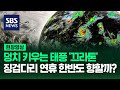 제18호 태풍 '끄라톤', 징검다리 연휴에 영향 미치나? (현장영상) / SBS