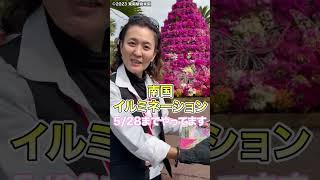 沖縄おすすめ観光シリーズ東南植物楽園！植物とバリケン#Shorts